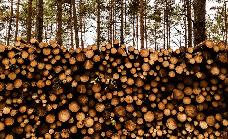 huggarvagnar är defacto det bästa valet för små till medelstora skogsbruk men även större skogsindustrier kan självklart bruka dessa likt en skotare